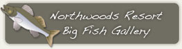 Fishing photo gallery