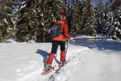 snowshoeing and cross country skiing